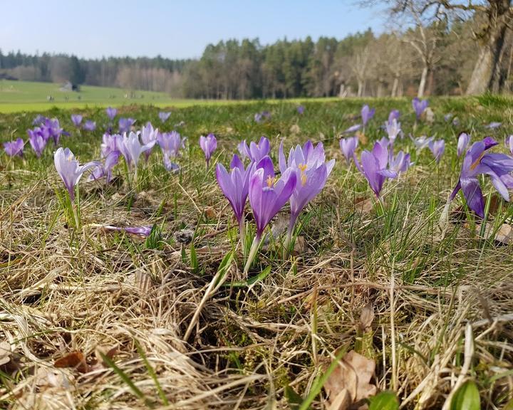 Wanderheim in Zavelstein